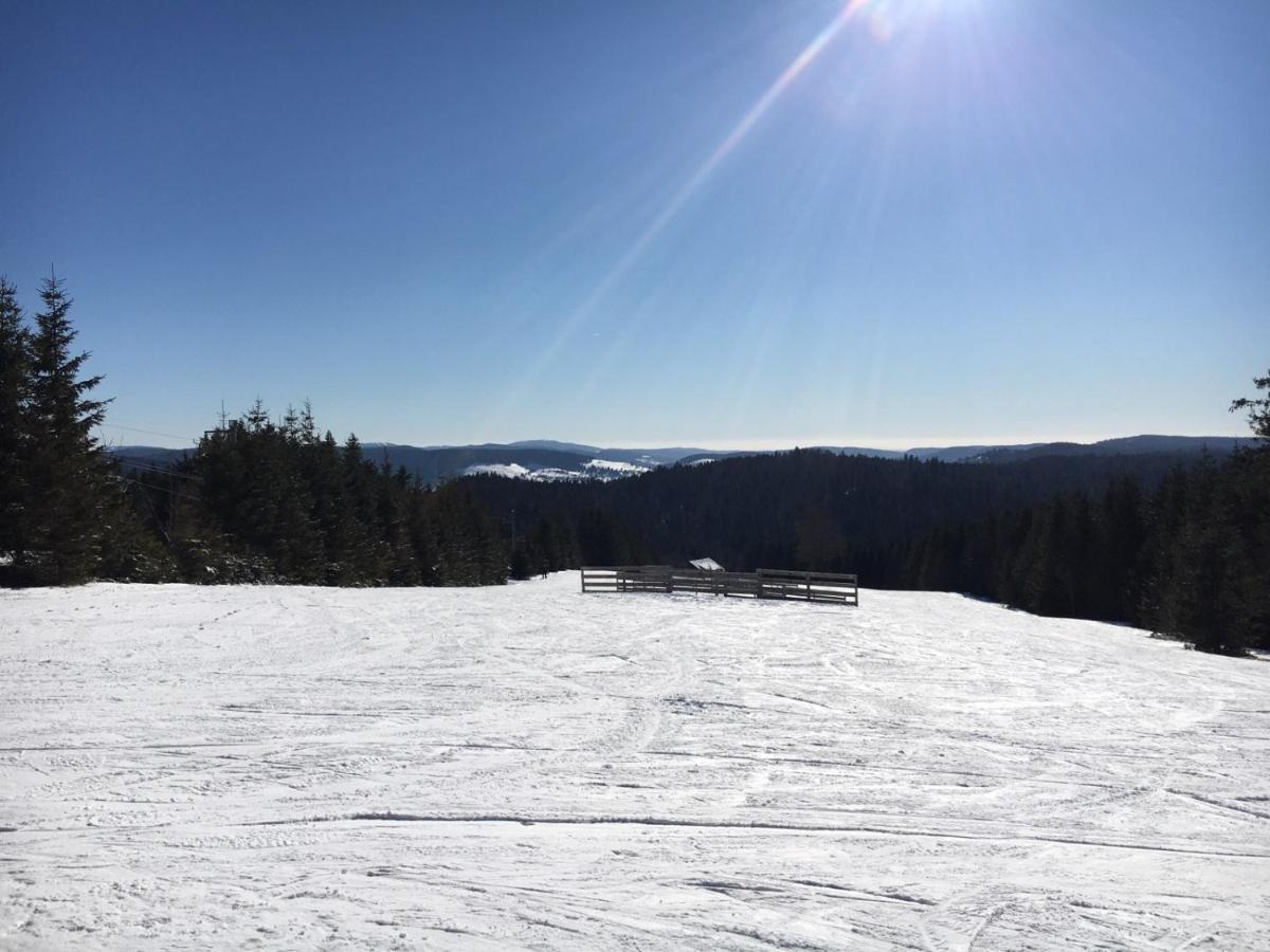 Appt F3 - La Bresse/cornimont